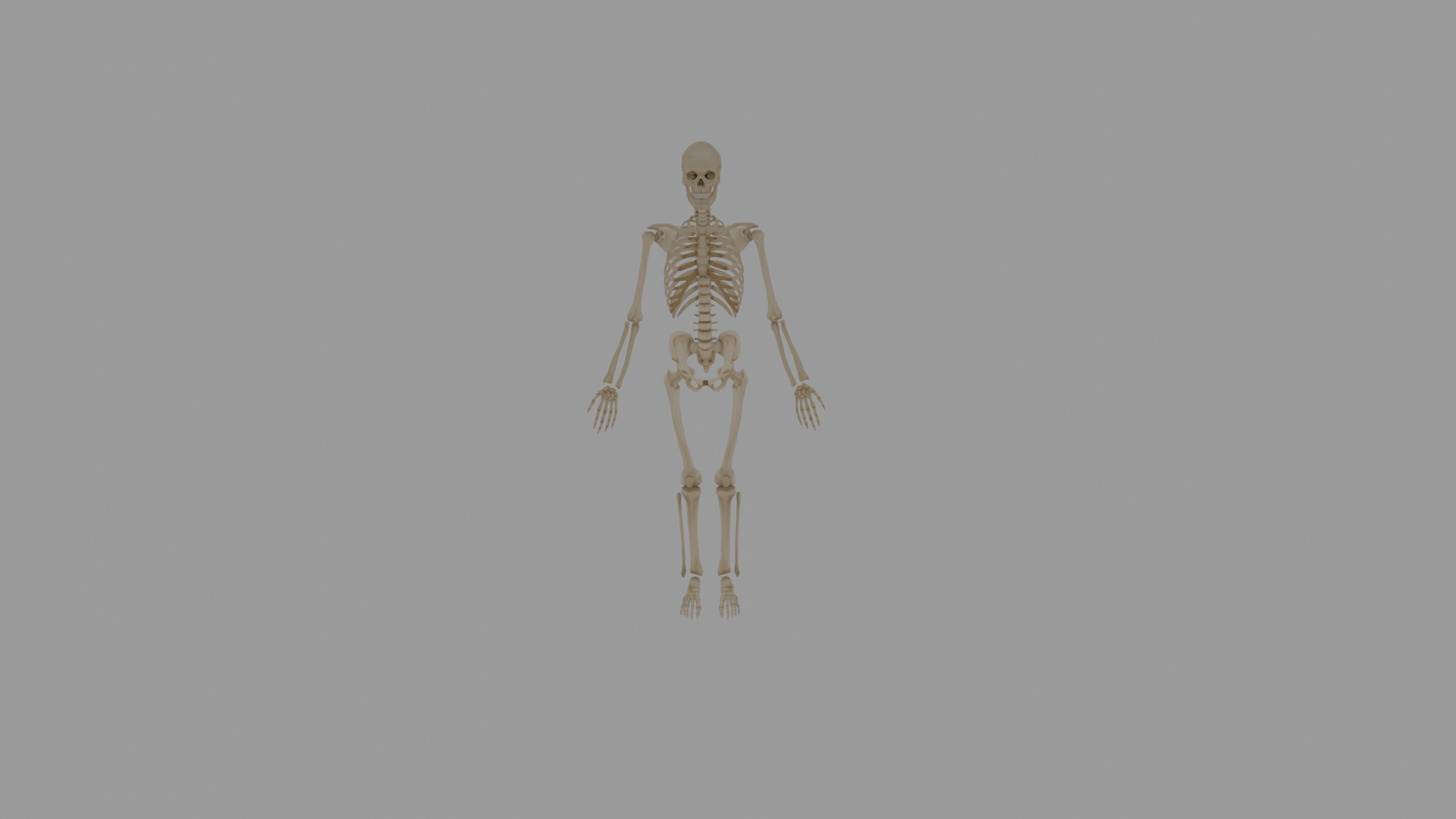 3DRealism